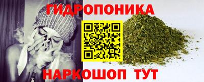 амф Лесосибирск