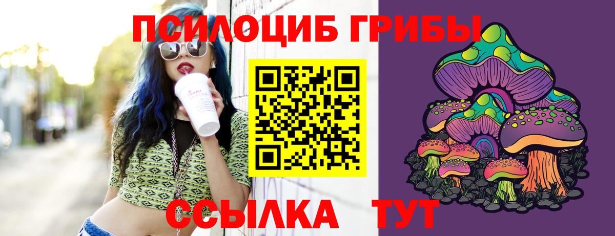 магазин    Вход с VPN  Воронеж  Галлюциногенные грибы GOLDEN TEACHER 